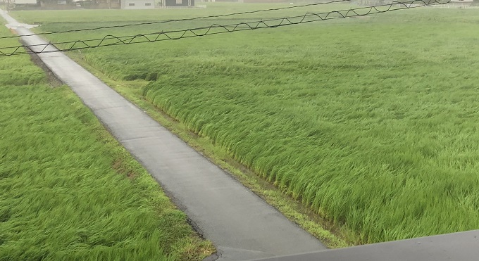 台風のためお休みさせていただきました。