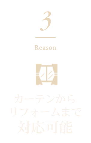 3 Reason